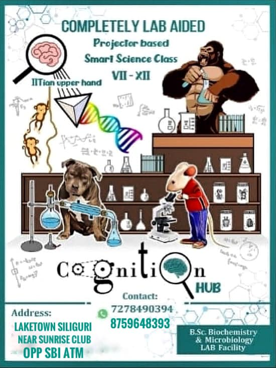 banner-image | Cognition Hub