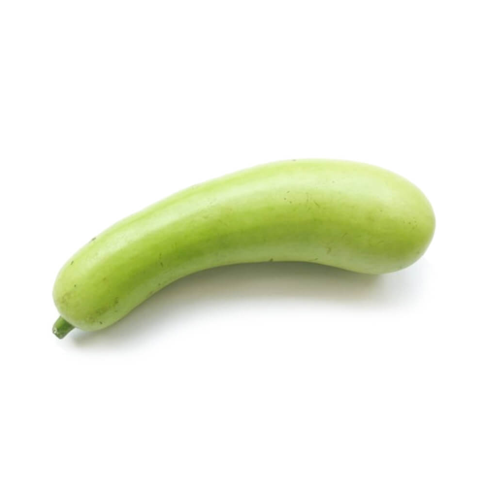 Bottle Gourd | V2C Bazaar Private Limited