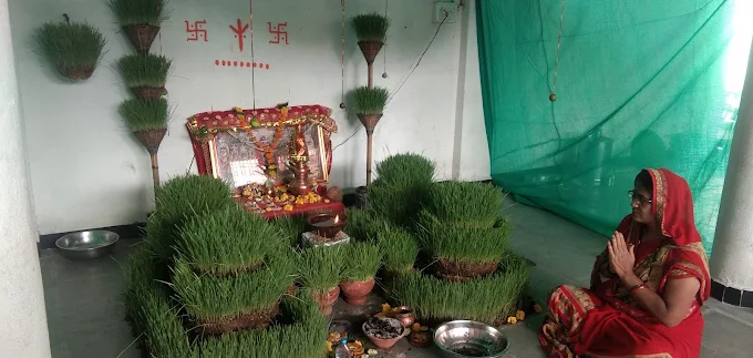 famous-jyotish-in-nanda-nagar |Bhrigu Jyotish and Vastu Consultant
