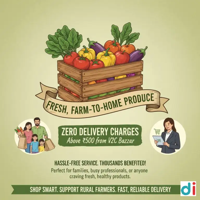 Free Delivery on Orders Above 500 in Gurgaon – Fresh Groceries Delivered Fast | V2C Bazaar Private Limited