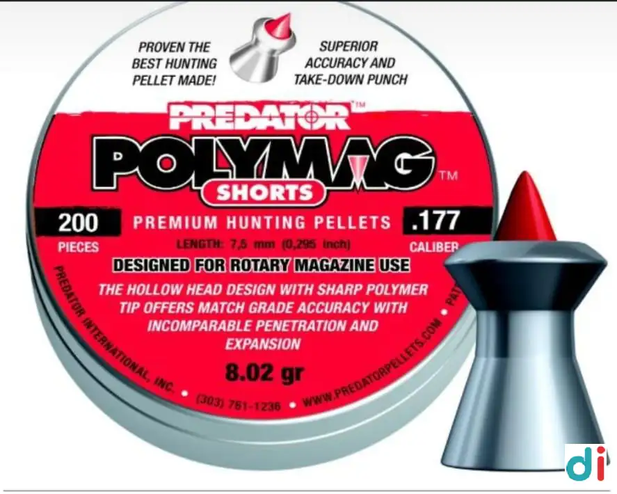 banner-image | SK Collection