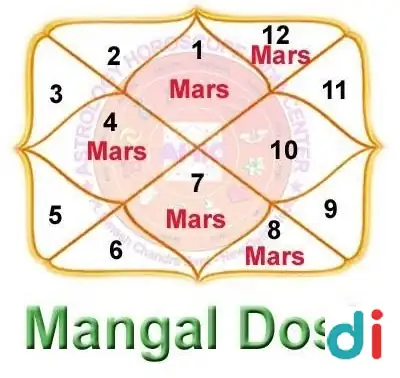 horoscope-reading-nashik-traditional-vedic-astrologer-kundli-analysis |Astrologer Vaibhav Shukla Guruji