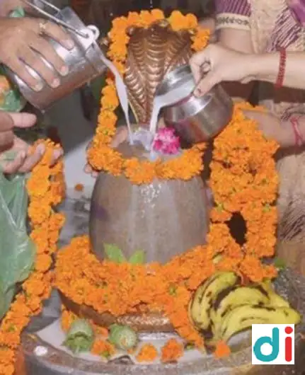 Rudrabhishek Puja  | Haridwar Pandit Booking