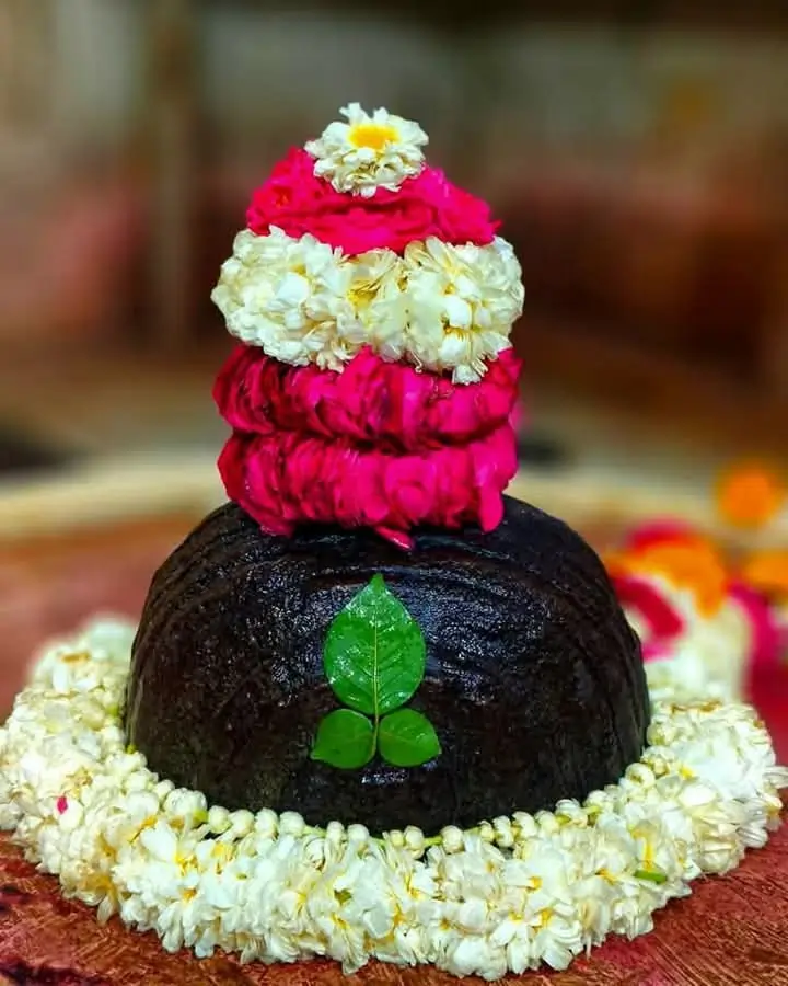 shiv-linga-puja |Ujjain Puja Booking