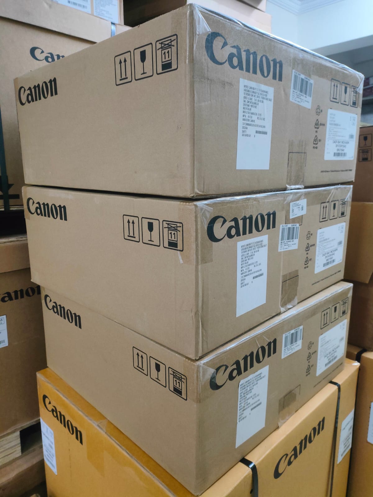 Top cheap courier near MP Nagar Bhopal 2026 | Monopoly Cargo