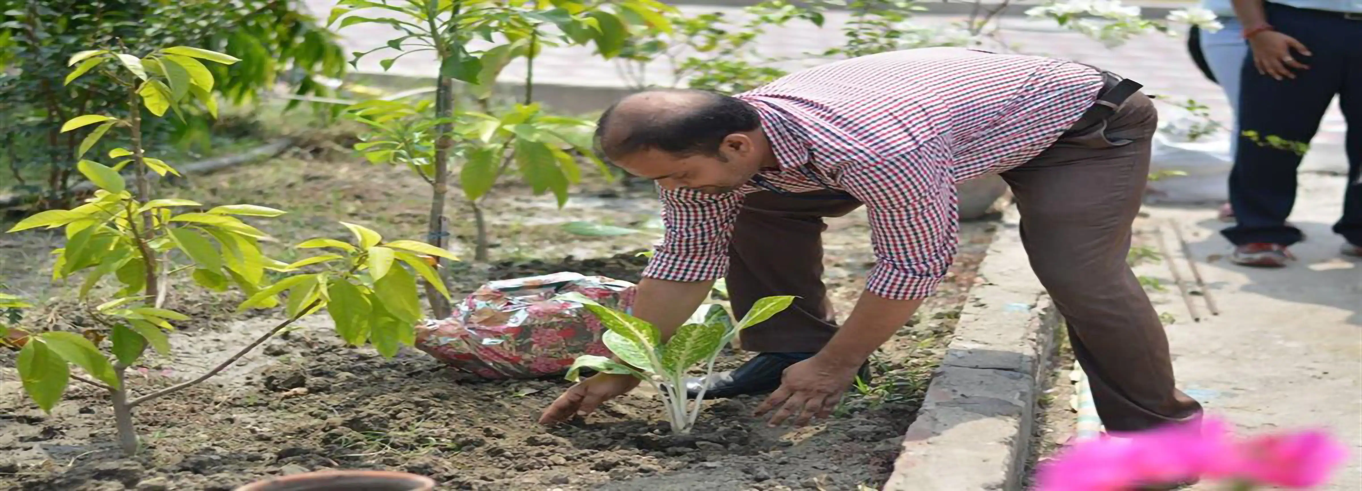 tree-plantation-activity-at-dr-atul-chandra-smriti-gramin-granthagar-welfare-society-promoting-environmental-awareness-rural-development-and-a-greener-community